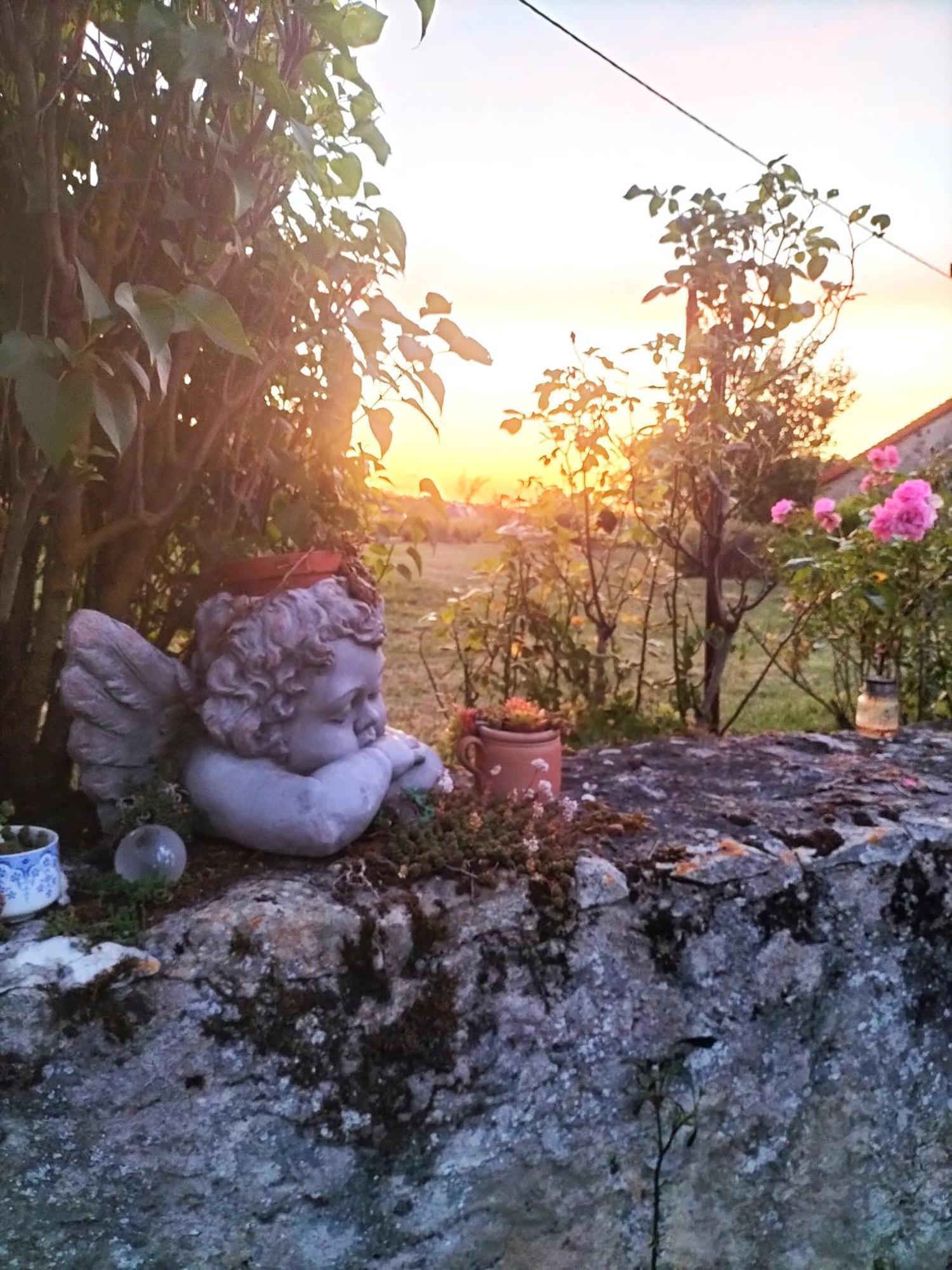 Charmante Maison, Calme Et Nature A La Roche Posay Villa Exterior photo